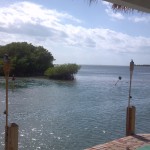 2011-11-25_13-04-22_849