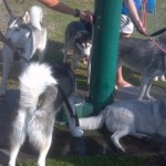 2012-02-25_09-28-15_76
