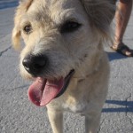 IMG_2367 (1)