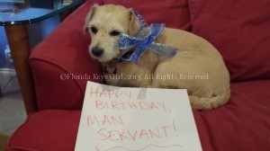 Babka says "Happy Birthday!"