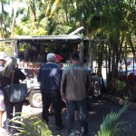 A crowd starts to gather for their taco fix.