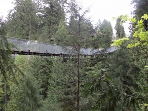 That is a 450 foot long suspension bridge.
